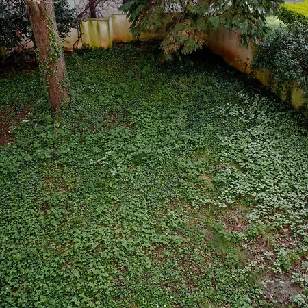 Il Gelsomino-terrazza E Park Villa Opicina